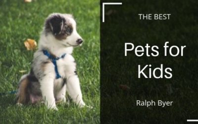 The Best Pets for Kids